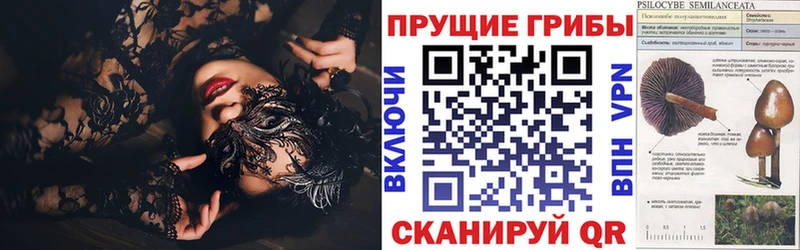 наркотики  Сосенский  shop Telegram  Галлюциногенные грибы прущие грибы 